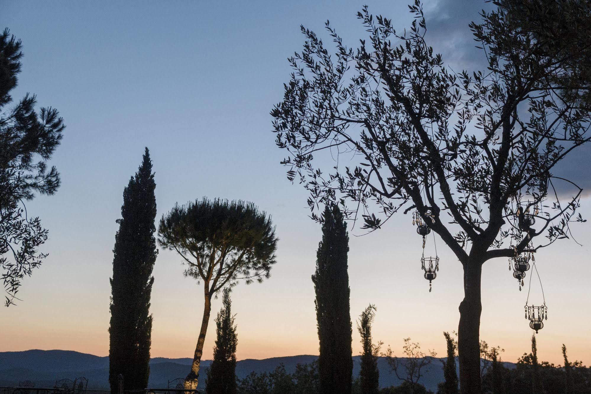 Wine Resort Conti Di San Bonifacio Ribolla Экстерьер фото